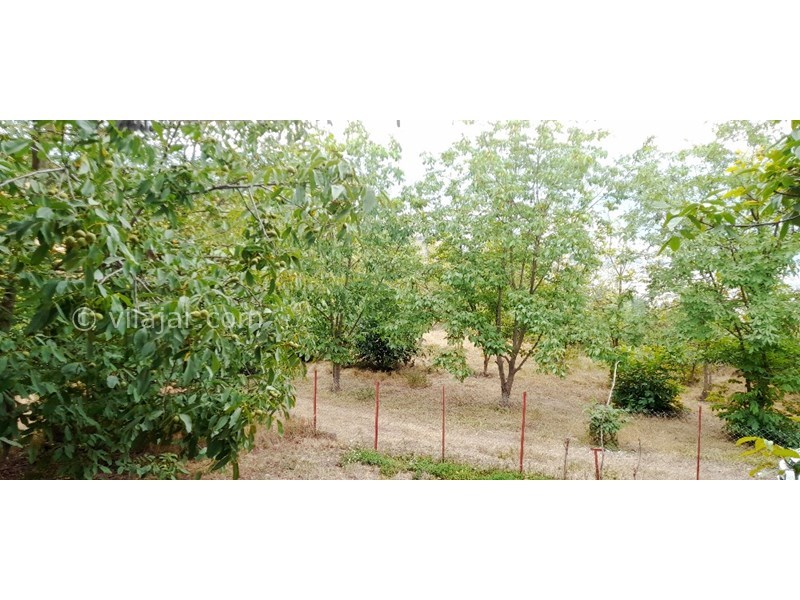 عکس شماره 768810 - اجاره خانه روستایی در ییلاقات رودبار -