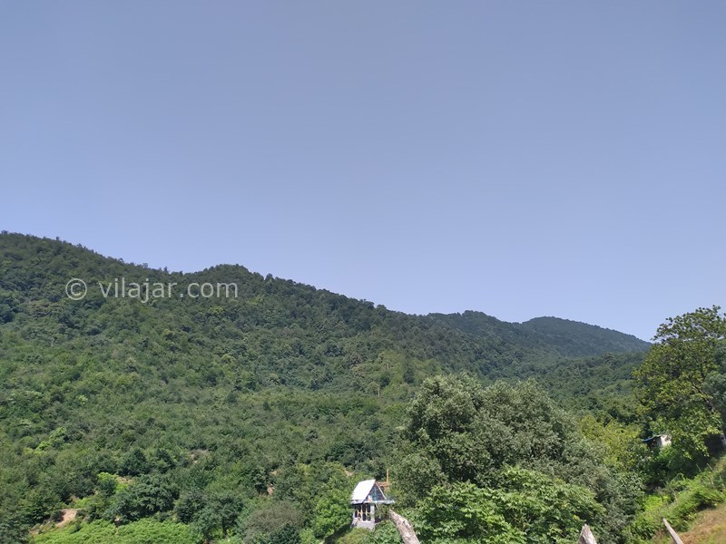 عکس شماره 769093 - اجاره کلبه جنگلی در لاویج نور - 