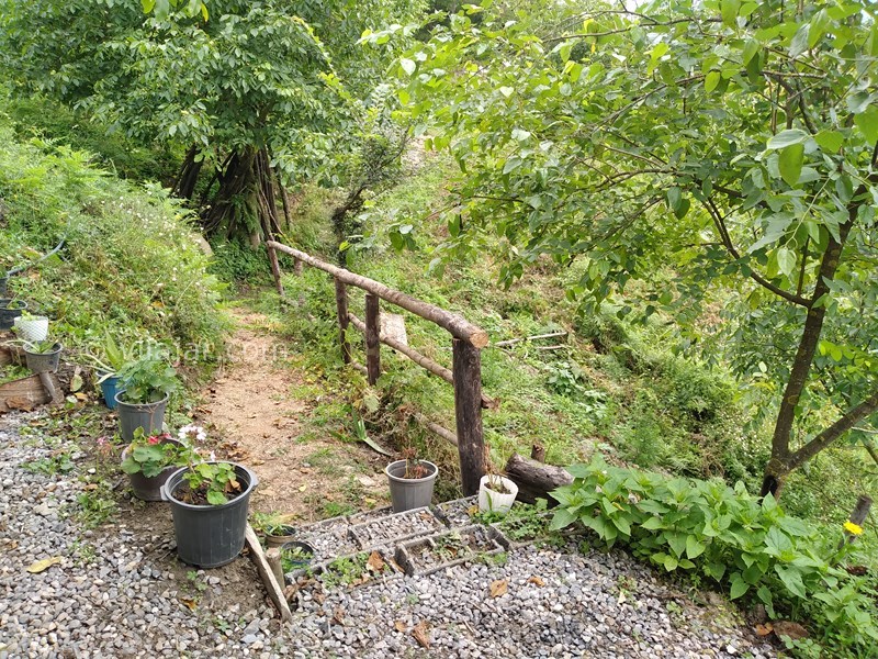 عکس شماره 769104 - اجاره کلبه جنگلی در لاویج نور - 