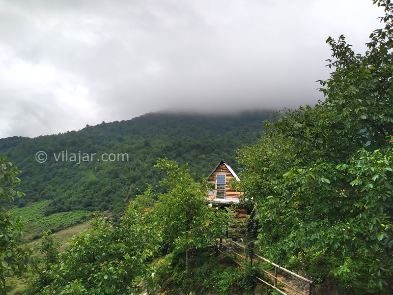 عکس شماره 769106 - اجاره کلبه جنگلی در لاویج نور - 