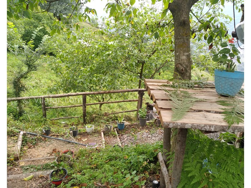 عکس شماره 769107 - اجاره کلبه جنگلی در لاویج نور - 