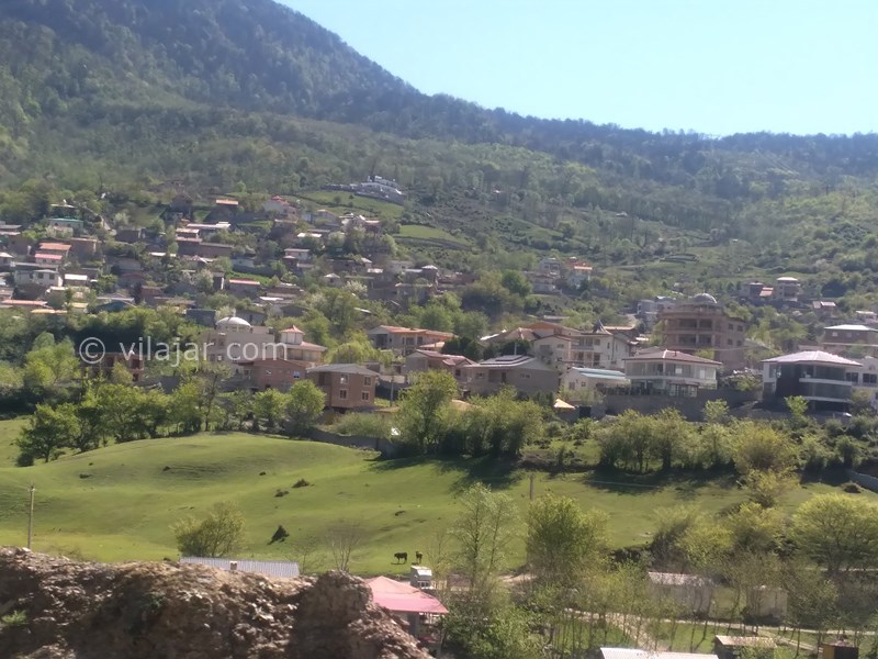 عکس شماره 769110 - اجاره کلبه جنگلی در لاویج نور - 