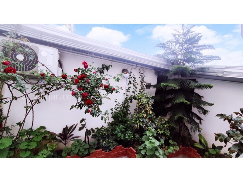 عکس شماره 769225 - اجاره ویلا در فریدونکنار ساحلی - فضای سبز جلوی ورودی 