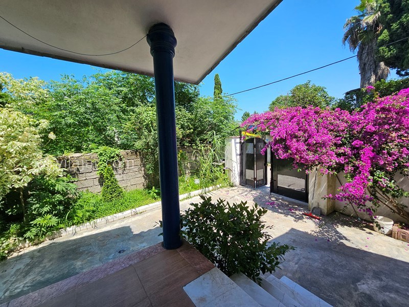 عکس شماره 769295 - اجاره ویلا استخردار در نوشهر - حیاط ویلا