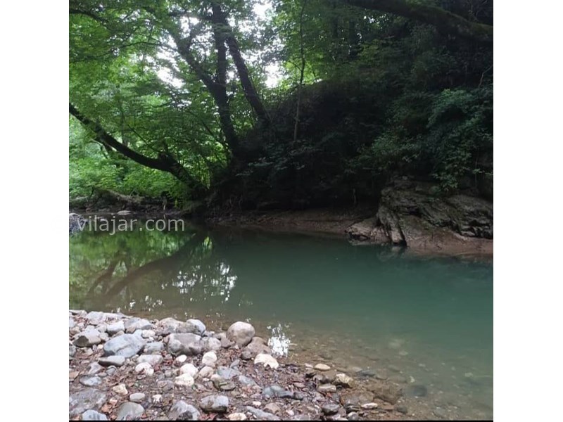 عکس شماره 769429 - ویلا در دل جنگل بلوکات رودبار - 