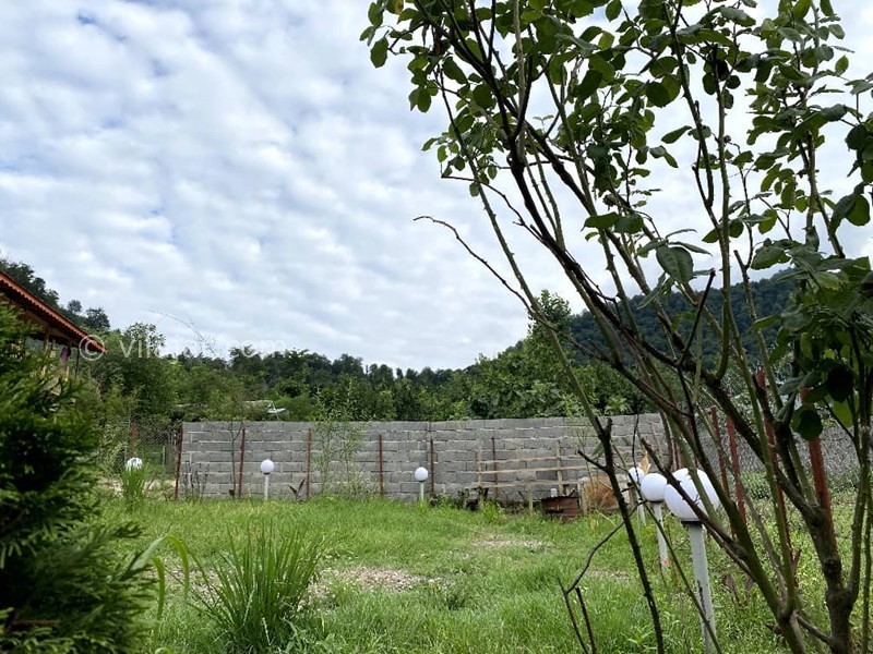 عکس شماره 769846 - اجاره کلبه چوبی جنگلی در ماسال - نمای روبه کوه و جنگل