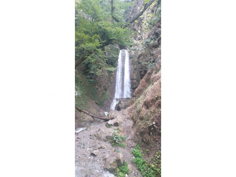 عکس شماره 770012 - اجاره ویلا سنتی جنگلی ییلاق تالش - 