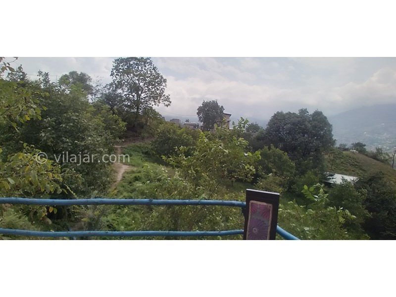 عکس شماره 770580 - اجاره کلبه جنگلی در لاویج نور - 