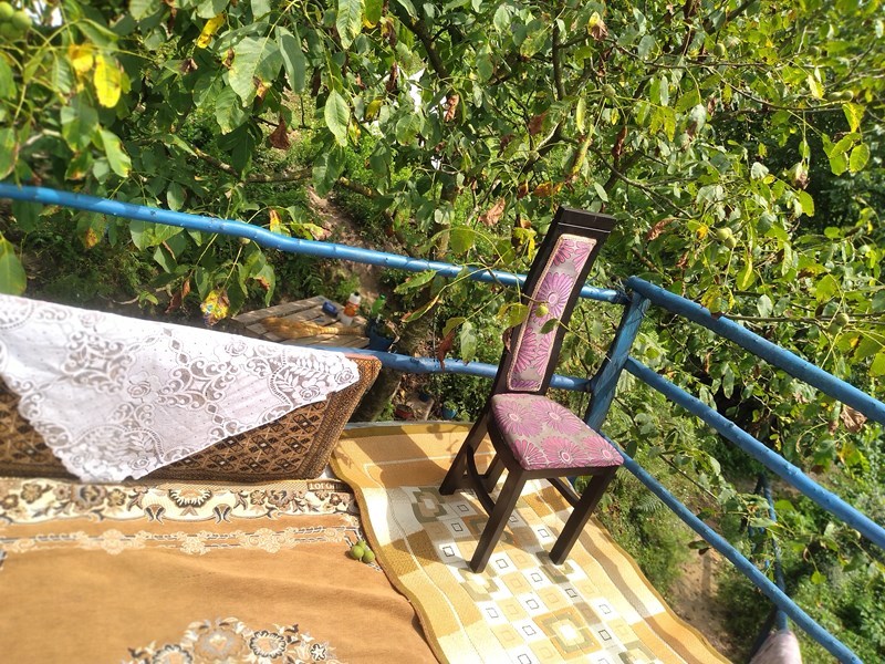 عکس شماره 770587 - اجاره کلبه جنگلی در لاویج نور - 