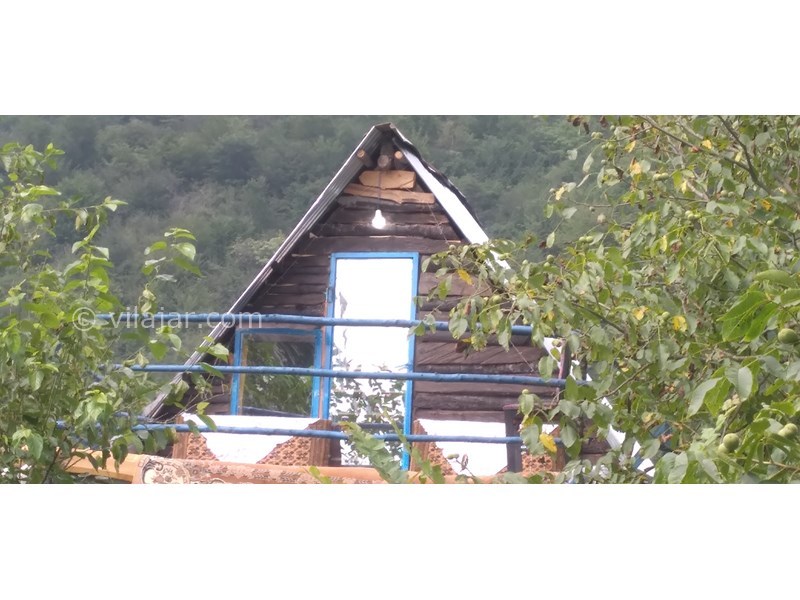 عکس شماره 770588 - اجاره کلبه جنگلی در لاویج نور - 