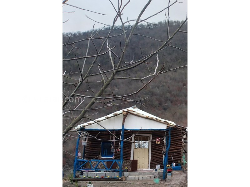 عکس شماره 770589 - اجاره کلبه جنگلی در لاویج -