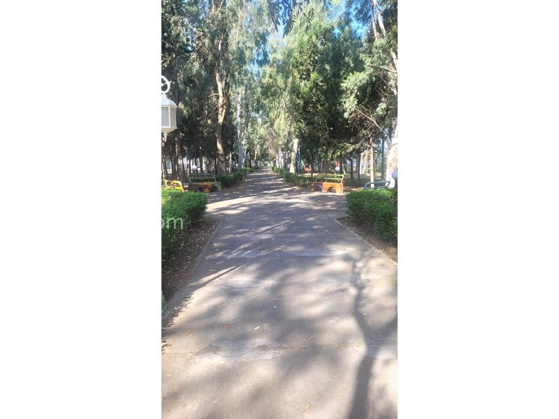 عکس شماره 770670 - رزرو پلاژ بیمه ایران در فرح آباد ساری -