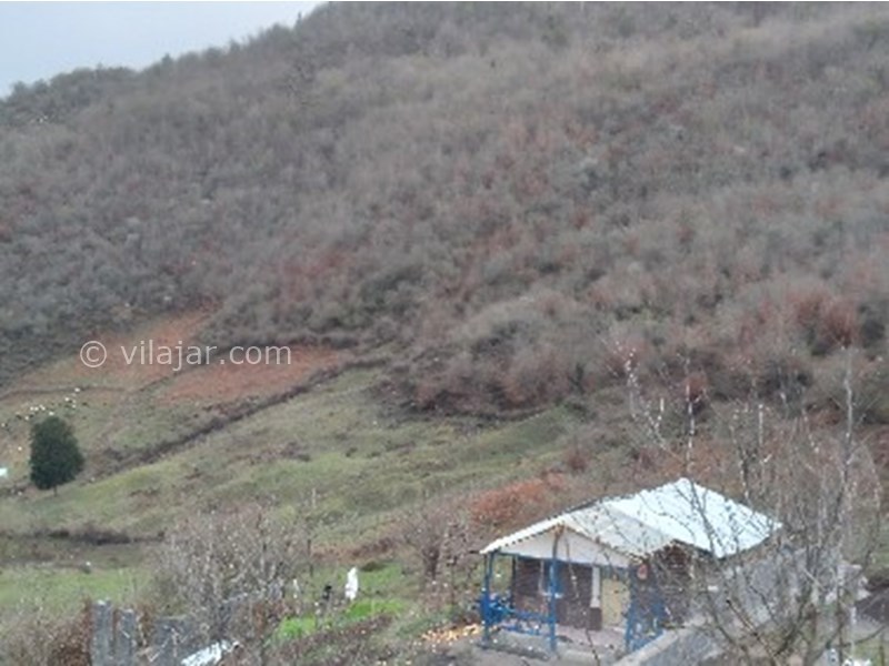 عکس شماره 770751 - اجاره کلبه جنگلی در لاویج -