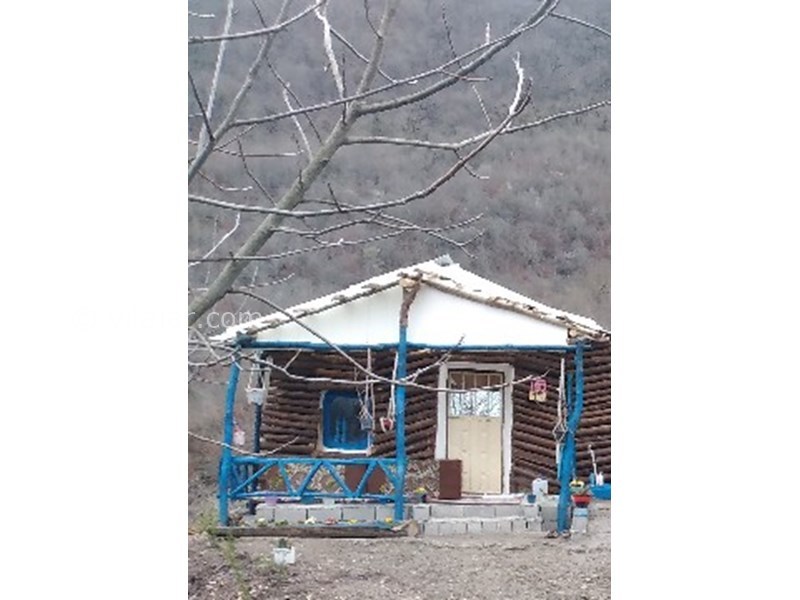 عکس شماره 770769 - اجاره کلبه جنگلی در لاویج -