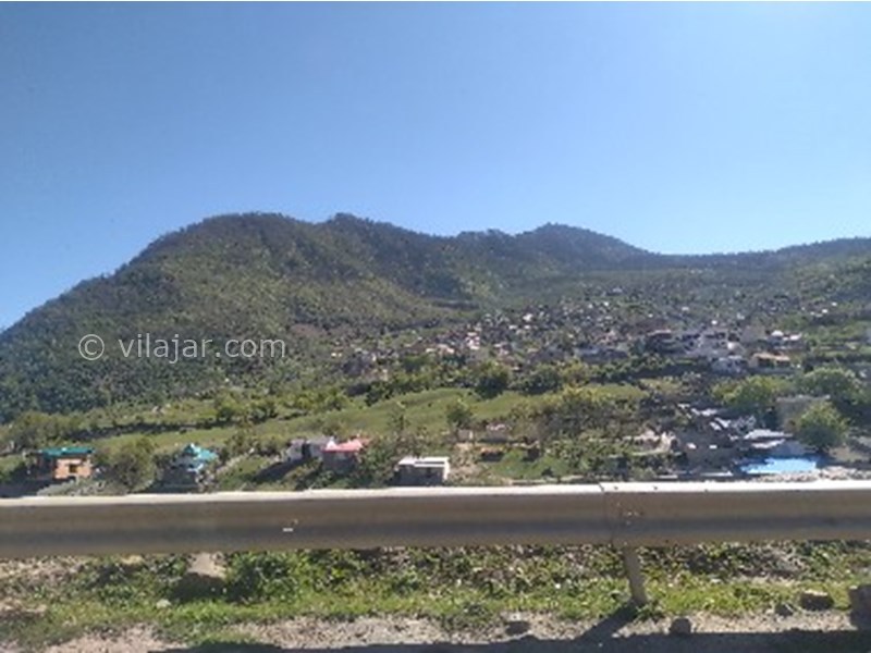 عکس شماره 770772 - اجاره کلبه جنگلی در لاویج -