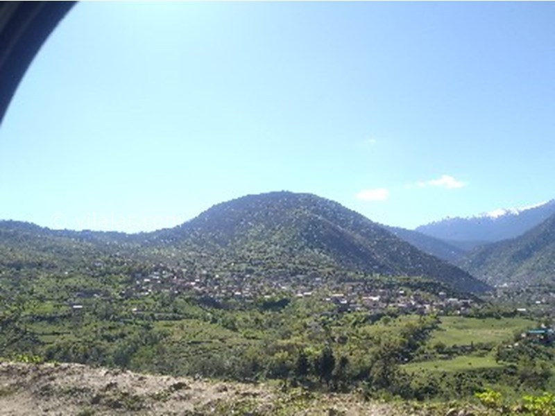 عکس شماره 770773 - اجاره کلبه جنگلی در لاویج -