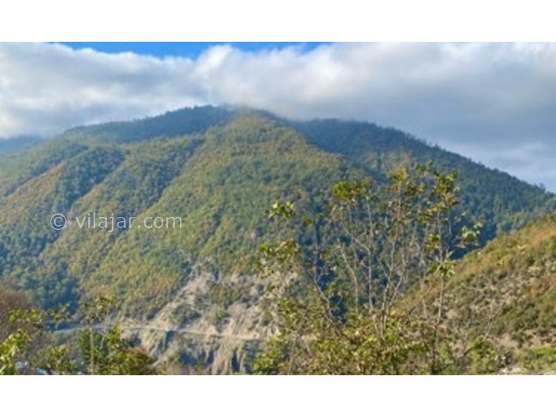 عکس شماره 770785 - اجاره کلبه جنگلی در لاویج -