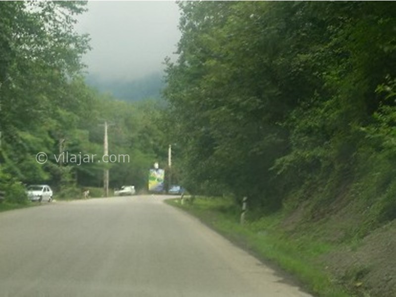 عکس شماره 770791 - اجاره کلبه جنگلی در لاویج -