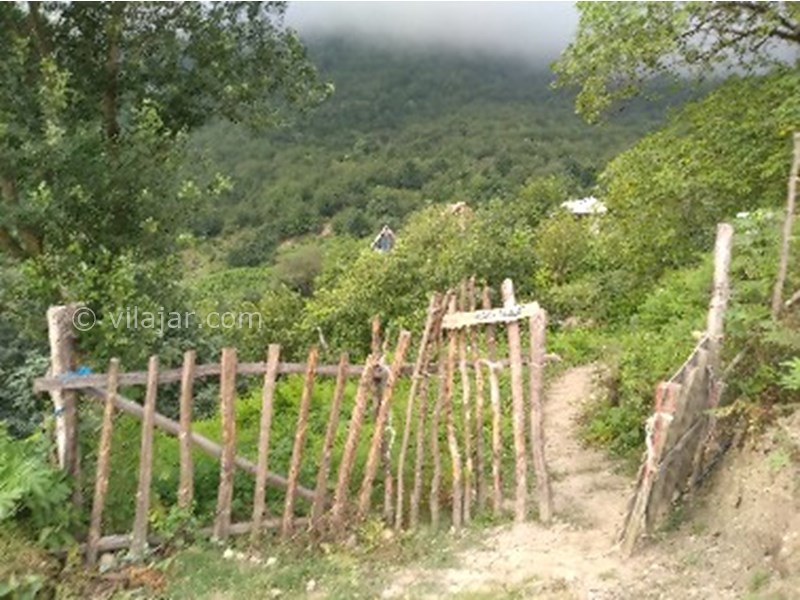 عکس شماره 770792 - اجاره کلبه جنگلی در لاویج -