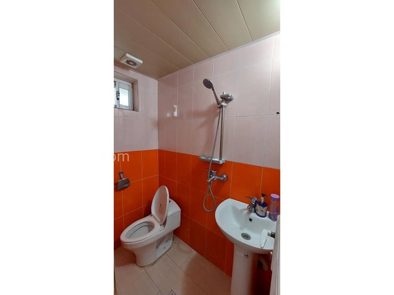 عکس شماره 770905 - اجاره ویلای جنگلی در رامسر - 