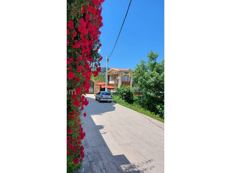 عکس شماره 770910 - اجاره ویلای جنگلی در رامسر - 