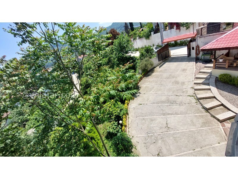 عکس شماره 770917 - اجاره ویلای جنگلی در رامسر - 