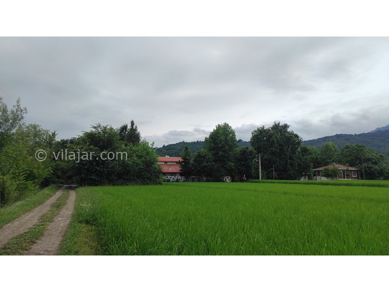 عکس شماره 771343 - اجاره ویلا استخر آبگرم در ماسال - 