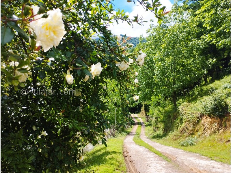 عکس شماره 771551 - اجاره ویلا جنگلی در فوشه - جاده کنتهی به ویلا