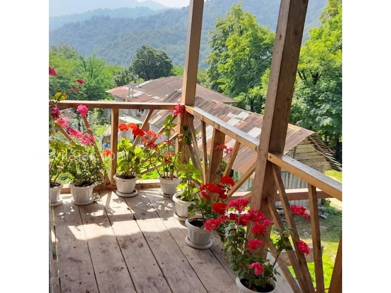 عکس شماره 771553 - اجاره ویلا جنگلی در فوشه - ویوی تراس