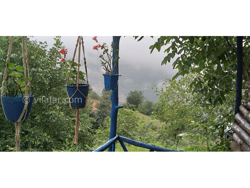 عکس شماره 771637 - اجاره کلبه جنگلی در لاویج -