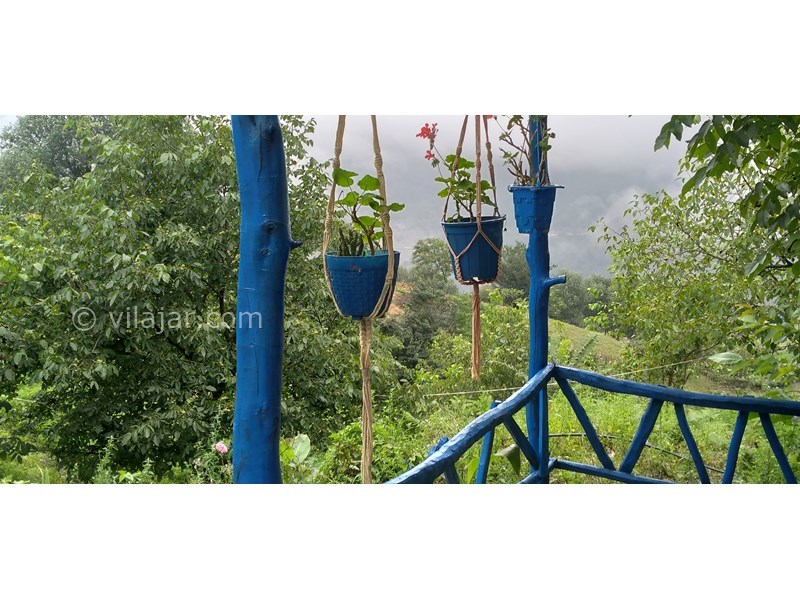 عکس شماره 771651 - اجاره کلبه جنگلی در لاویج -