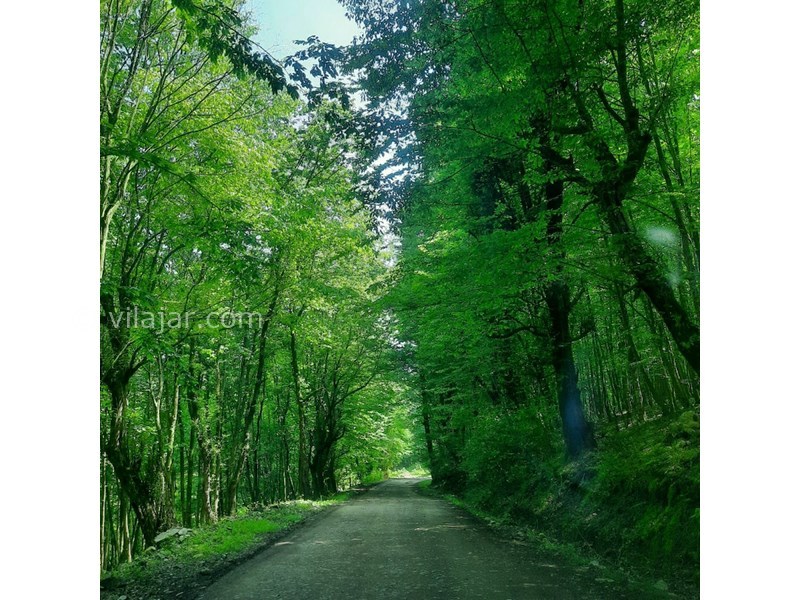 عکس شماره 771730 - اجاره ویلا جنگلی در تنکابن - 