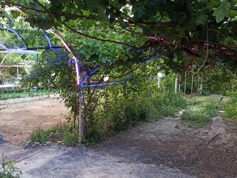 عکس شماره 772208 - اجاره ویلا در سامان لب رودخانه - 