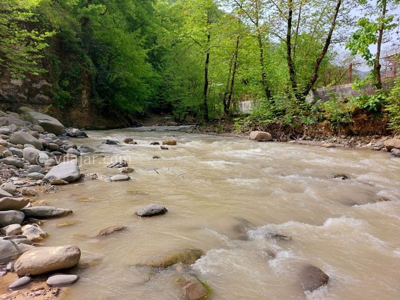 عکس شماره 773468 - اجاره اقامتگاه جنگلی در تالش - 