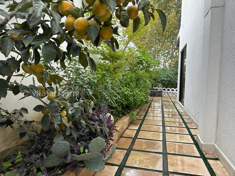 عکس شماره 773591 - اجاره ویلا استخر روباز محمودآباد - 