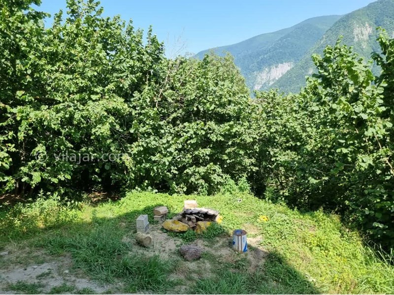 عکس شماره 773825 - ویلا جنگلی با جکوزی دو هزار تنکابن - 