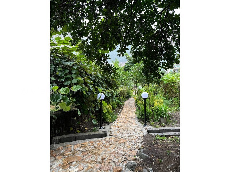 عکس شماره 774116 - کلبه چوبی در رامسر نزدیک تله کابین - 