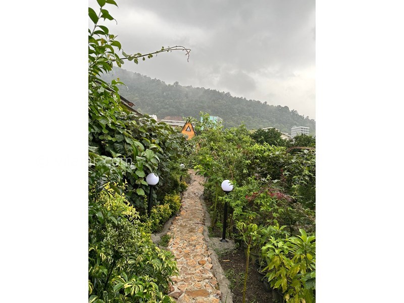 عکس شماره 774130 - کلبه چوبی در رامسر نزدیک تله کابین - 