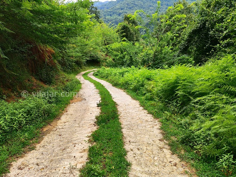 عکس شماره 774906 - کلبه جنگلی در قلعه رودخان فومن - 