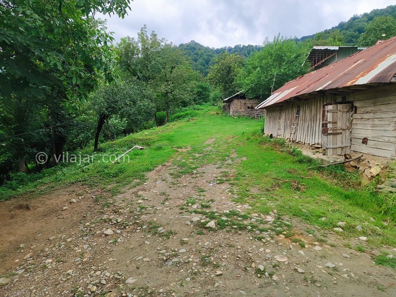 عکس شماره 774907 - کلبه جنگلی در قلعه رودخان فومن - 