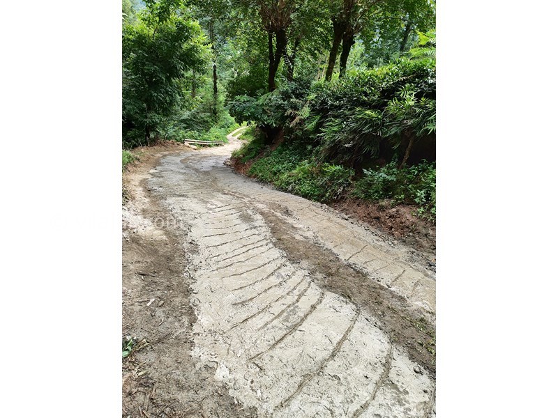 عکس شماره 774913 - کلبه جنگلی در قلعه رودخان فومن - 