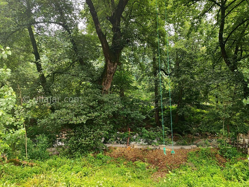 عکس شماره 774920 - خانه جنگلی در فوشه قلعه رودخان -