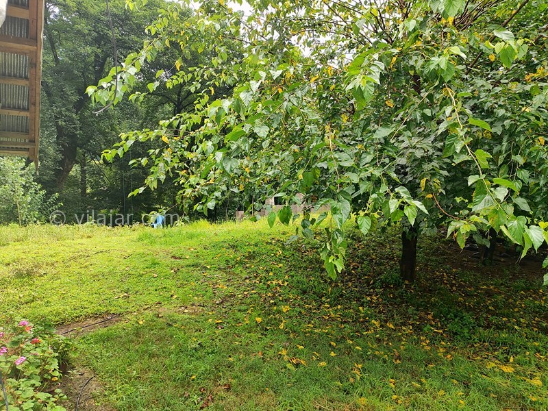 عکس شماره 774923 - خانه جنگلی در فوشه قلعه رودخان -