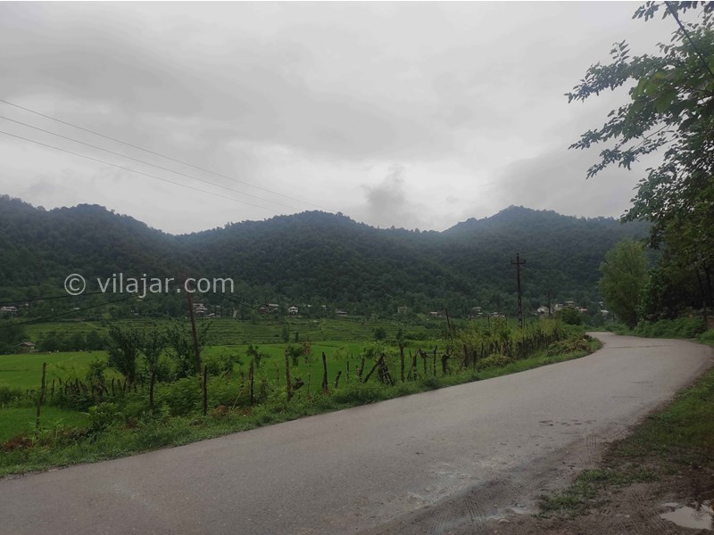 عکس شماره 775694 - اجاره اقامتگاه در ماسال - جاده جلوی ویلا 