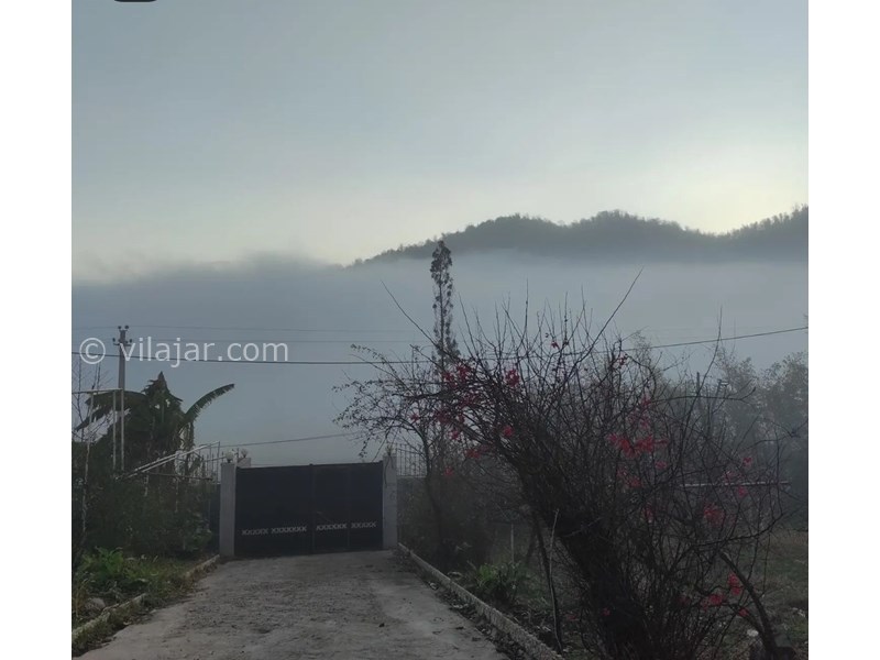 عکس شماره 775705 - اجاره اقامتگاه در ماسال - شالیزار در مه