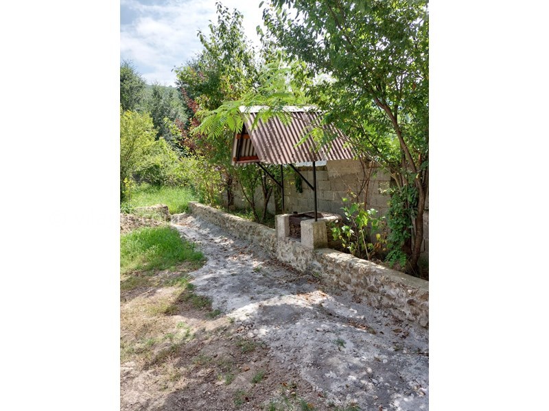 عکس شماره 775787 - اجاره اقامتگاه جنگلی نزدیک شفت - 