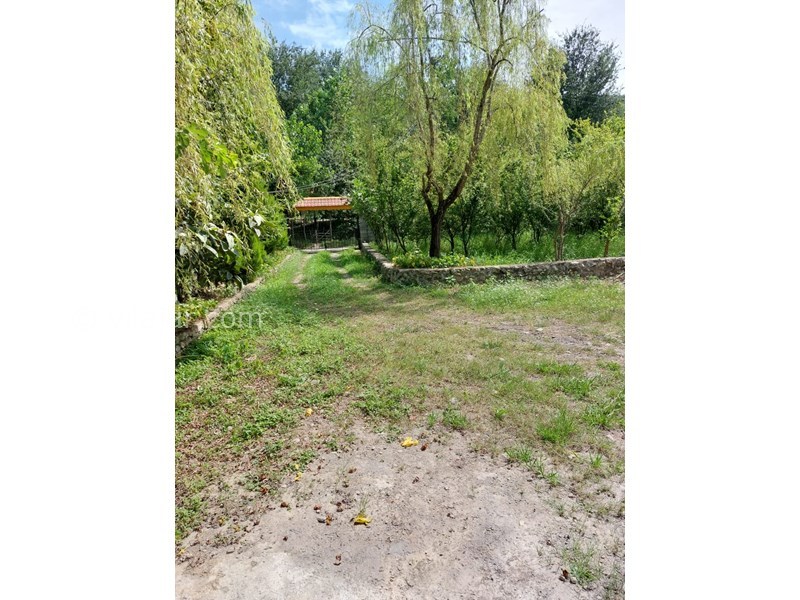 عکس شماره 775794 - اجاره اقامتگاه جنگلی نزدیک شفت - 