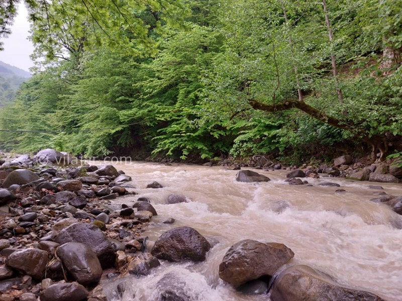 عکس شماره 775813 - اجاره ویلا در اسالم تالش کنار رودخانه -