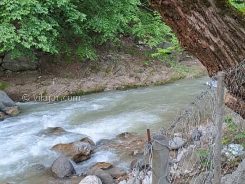 عکس شماره 775817 - ویلای جنگلی در تالش بر رودخانه اسالم - 