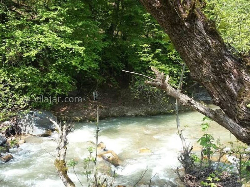 عکس شماره 775832 - ویلای جنگلی در تالش بر رودخانه اسالم - 